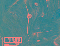 Rizoma: Afrofuturismo
