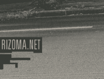 Rizoma: Desbunde